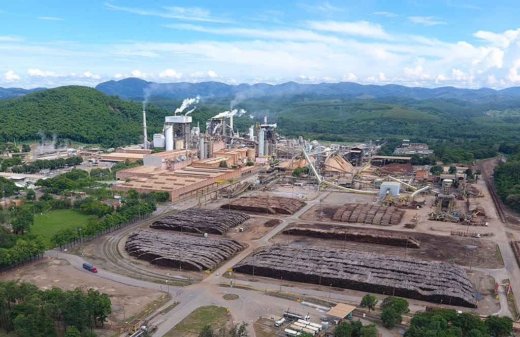Cenibra divulga Relatório de Sustentabilidade e Demonstrações Financeiras de 2019
