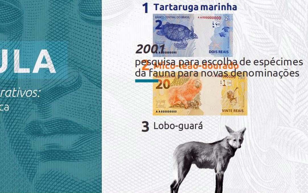 Nova cédula de R$ 200 será lançada na quarta-feira