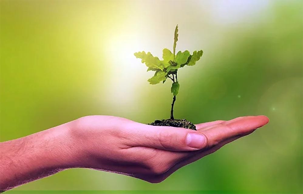 Fiemg lança programa de Fiscalização Ambiental Preventiva na Indústria