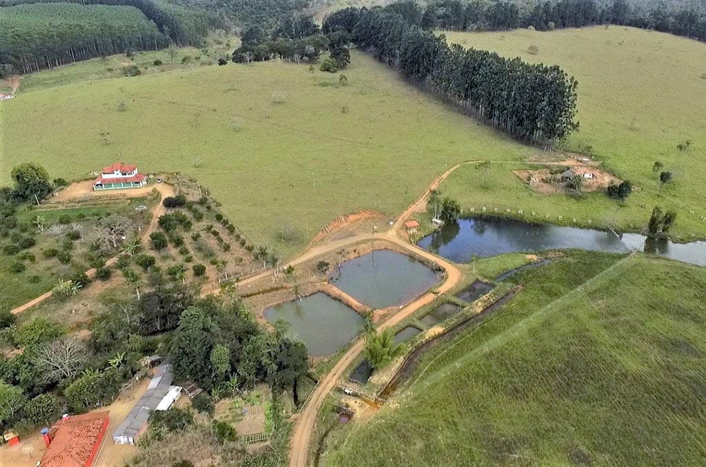 Parcerias contribuem para recuperação da Bacia do Rio Doce