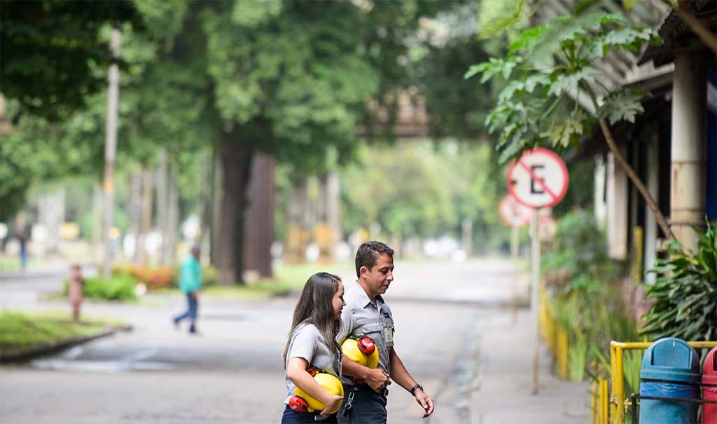 Dentro da usina, ruas e avenidas limpas e arborizadas (Foto: Usiminas/arquivo)