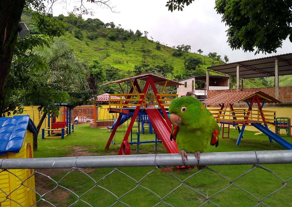 Centro de Educação Infantil do Barra Alegre em Ipatinga é reaberto