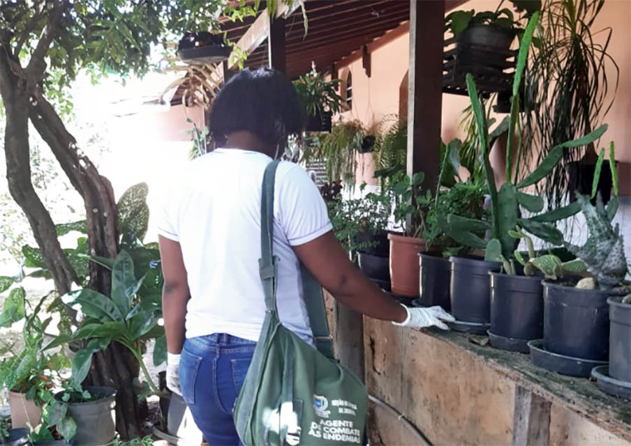 Mutirão contra a dengue já vistoriou mais de 24 mil imóveis em Ipatinga