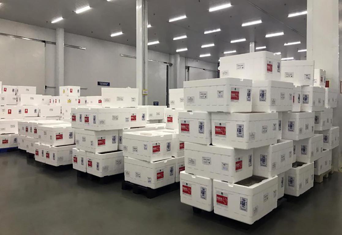 Governo distribui mais 2,6 milhões de doses de vacina contra a Covid-19