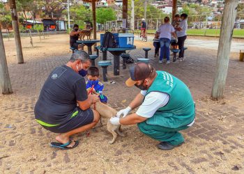 Zoonoses de Ipatinga realiza vacinação contra a raiva animal neste fim de semana