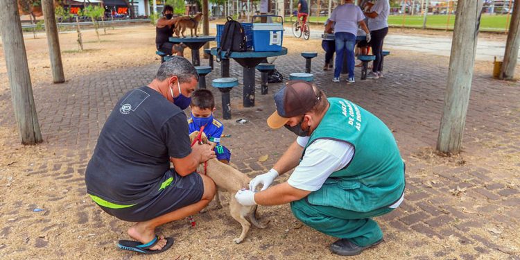 Zoonoses de Ipatinga realiza vacinação contra a raiva animal neste fim de semana