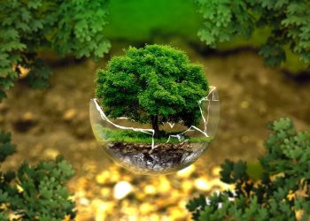 Fiemg Vale do Aço e Rio Doce promovem II Seminário de Licenciamento Ambiental Estadual