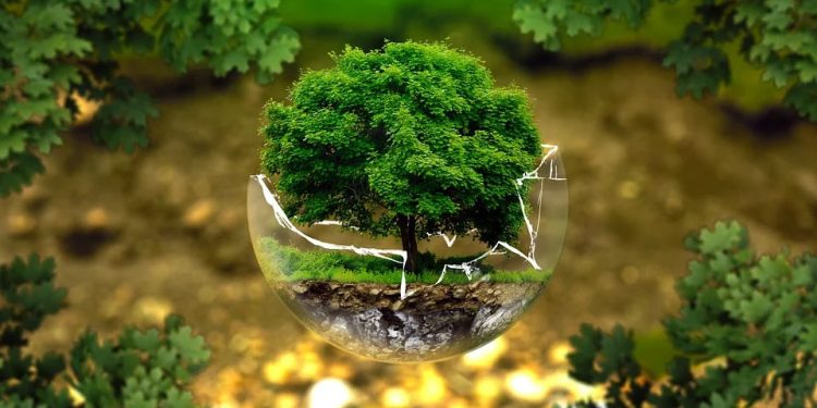 Fiemg Vale do Aço e Rio Doce promovem II Seminário de Licenciamento Ambiental Estadual