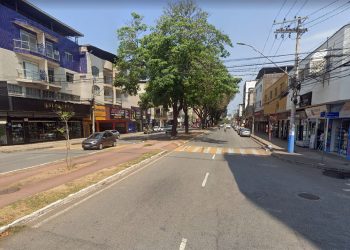 Avenida Macapá em Ipatinga será interditada no domingo para poda de árvores