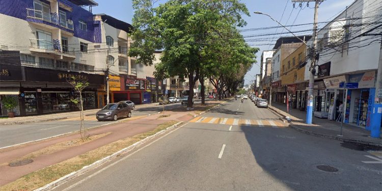Avenida Macapá em Ipatinga será interditada no domingo para poda de árvores