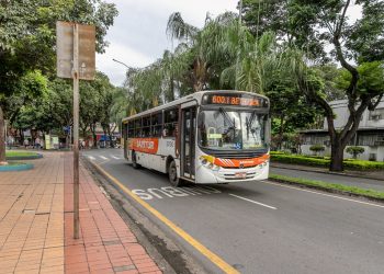Transporte coletivo: cartão de gratuidade vencido deve ser regularizado até março, em Ipatinga