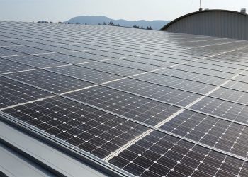 Fiemg e BDMG anunciam linha de crédito para energia solar voltada a pequenas empresas
