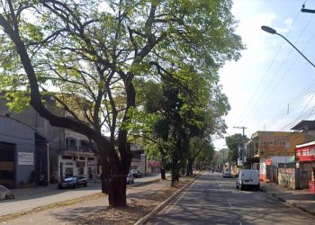 Avenida Livramento em Ipatinga será interditada na sexta (7) para poda de árvores