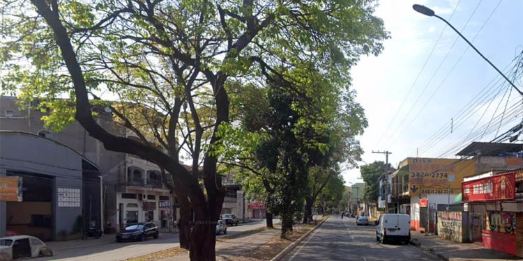 Avenida Livramento em Ipatinga será interditada na sexta (7) para poda de árvores