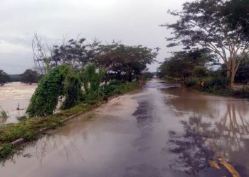 Norte de Minas: Fiemg entrega cestas básicas e arrecada R$ 390 mil para mais doações