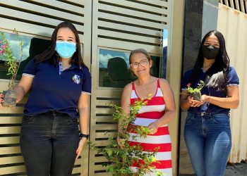 Fabriciano oferece serviço de entrega gratuita de mudas com “Alô Verde”