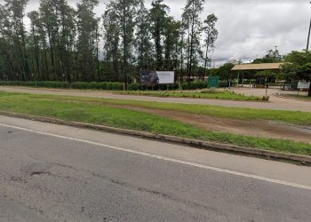 Cenibra realiza obras no trevo de acesso à fabrica em Belo Oriente