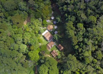 Fazenda Macedônia, um exemplo de responsabilidade socioambiental da Cenibra