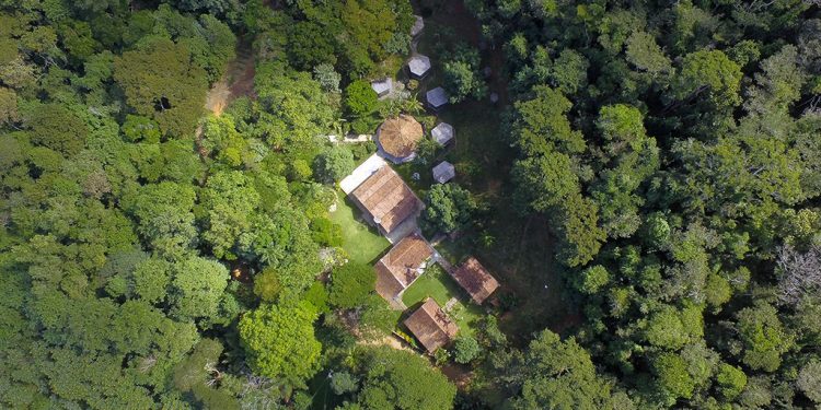 Fazenda Macedônia, um exemplo de responsabilidade socioambiental da Cenibra
