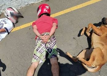 Cão deita ao lado de suspeitos durante abordagem policial no Paraná