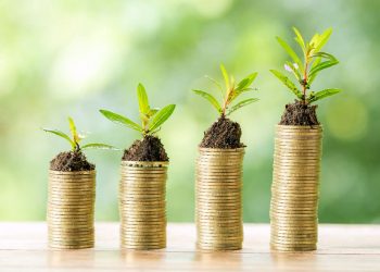 Parceria vai desenvolver mercado de finanças verdes em Minas Gerais