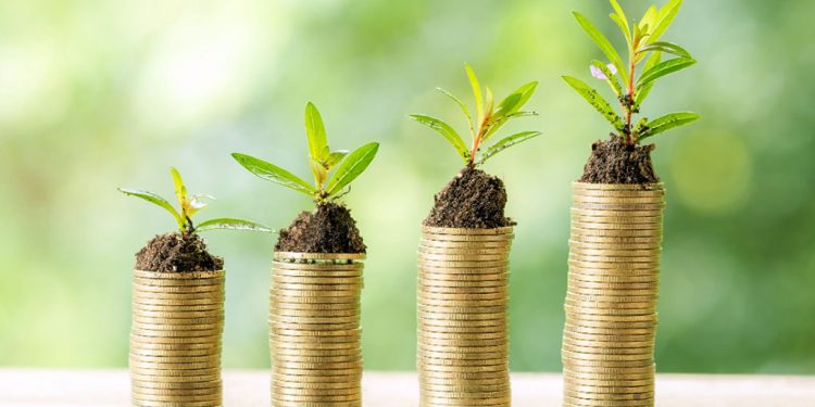 Parceria vai desenvolver mercado de finanças verdes em Minas Gerais