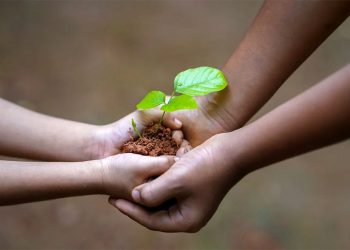 Abertas inscrições para curso gratuito de Educação Ambiental