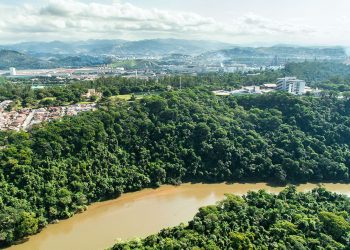 Usiminas comemora o Dia Mundial da Água com recuperação de nascentes