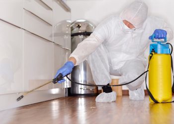 Síndico pode obrigar o morador a dedetizar o apartamento?