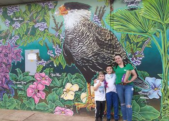 Instituto Usiminas promove projetos de educação, arte e sustentabilidade