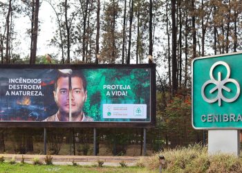 Cenibra lança campanha contra incêndios florestais