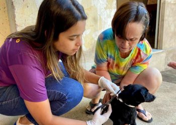 Ipatinga realiza projeto de Encoleiramento de Cães