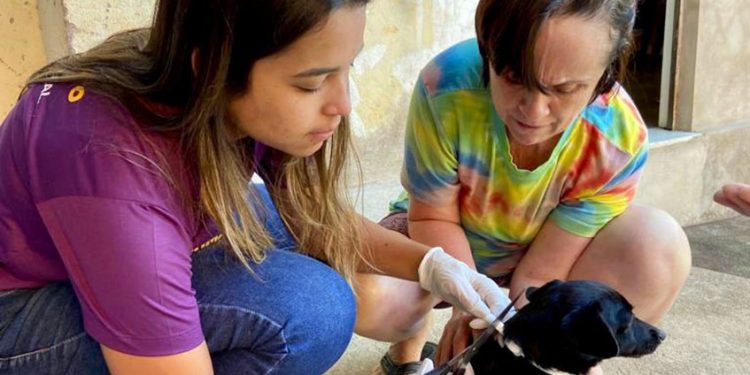 Ipatinga realiza projeto de Encoleiramento de Cães