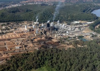 Cenibra divulga Relatório de Sustentabilidade 2021