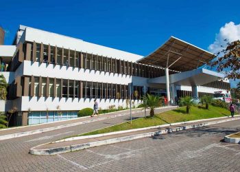 Tratamento humanizado acalma pacientes e aumenta chances de sobrevida em UTIs