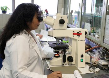 Entra em vigor lei que cria o programa Emprega + Mulheres