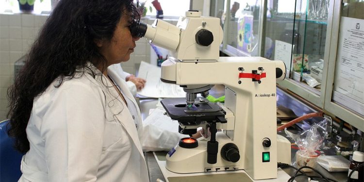 Entra em vigor lei que cria o programa Emprega + Mulheres