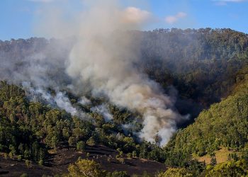 Defesa Civil Nacional alerta para o período de seca e incêndios florestais
