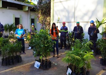 Voluntários Usiminas realiza plantio de mudas no Dia da Árvore