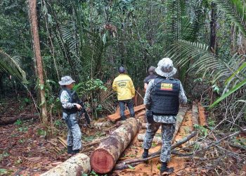 COP 27: Brasil apresenta ao mundo seus programas voltados à proteção da Amazônia