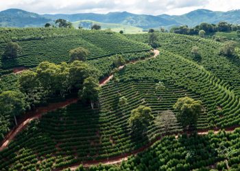 PIB de Minas cresce 4,2% no acumulado do ano até setembro