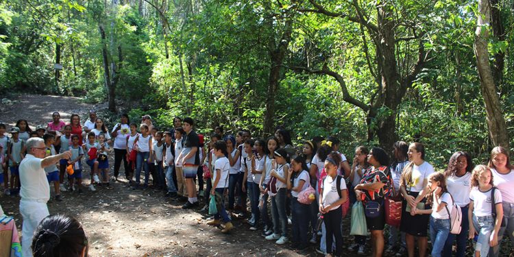 Projeto Xerimbabo recebe cerca de 10 mil visitantes em sua 36ª edição