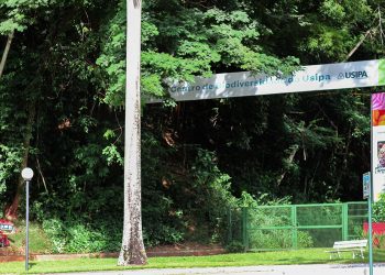 Usipa celebra 64 anos com programação especial no domingo (26)