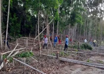 MST invade três propriedades produtivas na Bahia