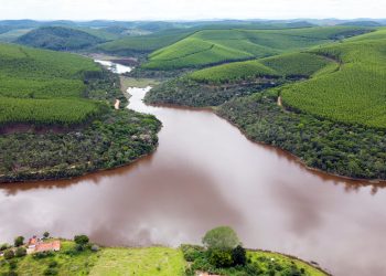 Cenibra desenvolve programas para garantir a conservação da água, solo, fauna e flora