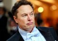 Elon Musk reage a mensagem de Nikolas Ferreira sobre o PL das Fake News