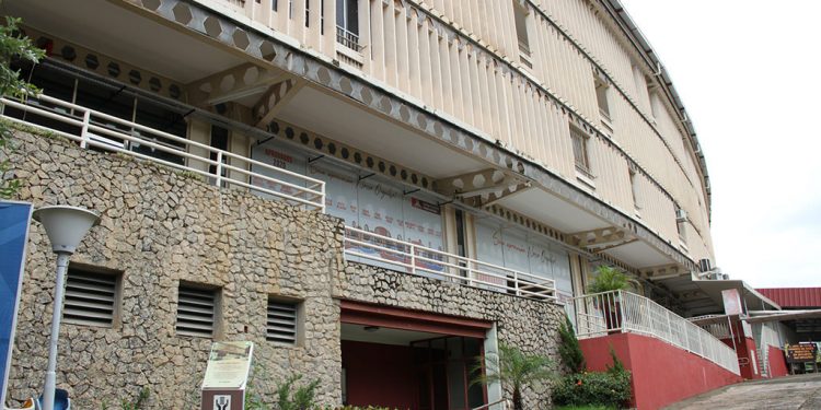 Colégio Católica Padre de Man oferta vaga de estágio na área da educação