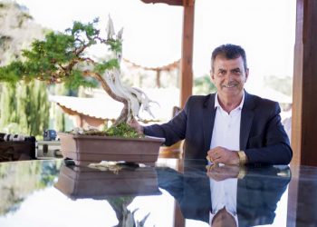 Evento Bonsai 2023 reúne especialistas em cultivo, atrações internacionais e premiações