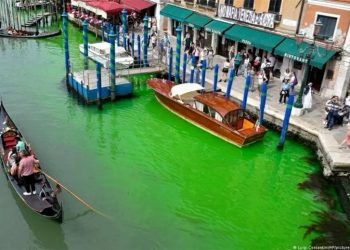 Canal de Veneza amanhece com água verde fluorescente; VEJA
