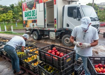 Banco de Alimentos de Ipatinga distribuiu quase 200 toneladas de mantimentos